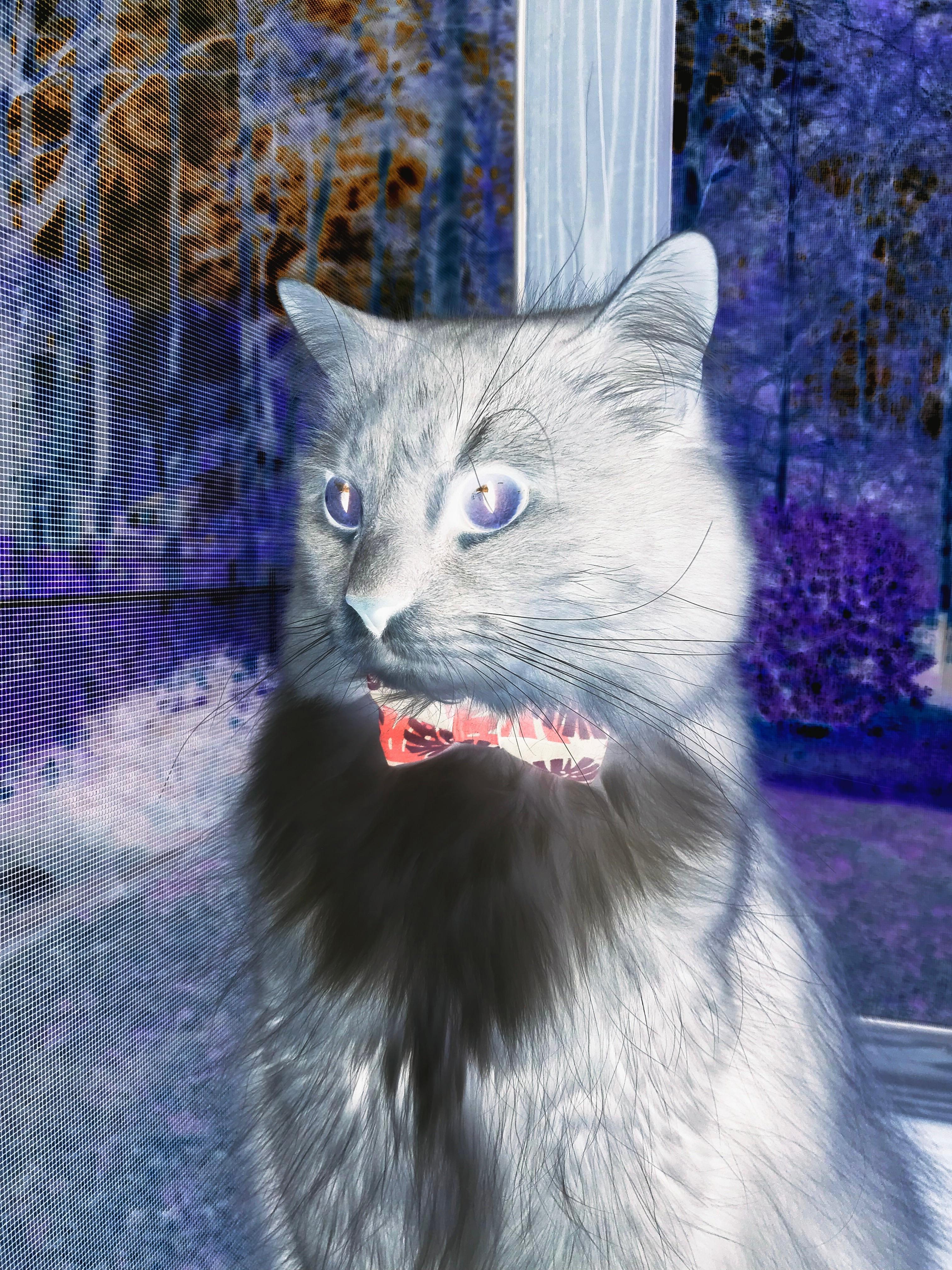 开云体育app-一节比赛打崩吉林！深圳隐藏核弹恩比德突然引爆